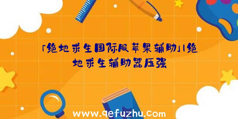 「绝地求生国际服苹果辅助」|绝地求生辅助器压强